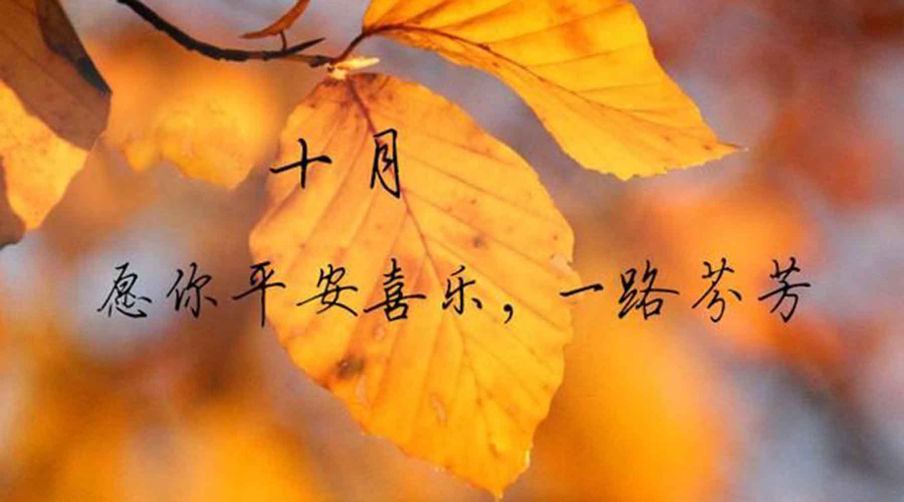 十月，致重要的你
